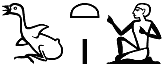 ṯꜣ.tj