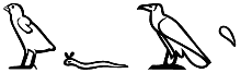 wfꜣ