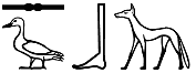 sꜣb