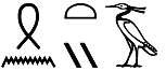 šn.tj