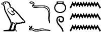 wḏnw