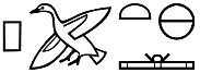 pꜣ.wt