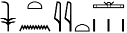 nsj.t