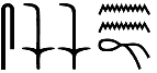 snn