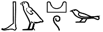 bw-ḏw