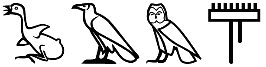 ṯꜣm