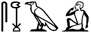 sḫꜣ