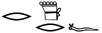 r ḏr=f